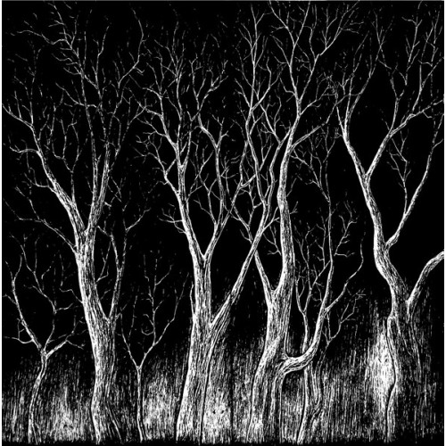 RADIOHEAD - THE KING OF LIMBS 2011 (TICK001LP) TICKER TAPE/EU MINT RADIOHEAD - THE KING OF LIMBS 2011 (TICK001LP) TICKER TAPE/EU MINT