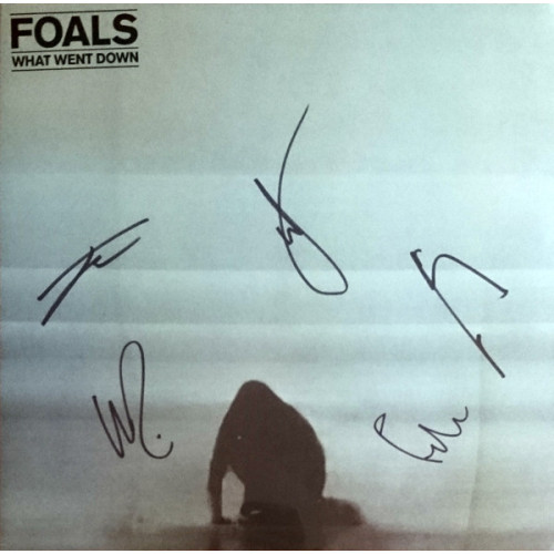 FOALS - WHAT WENT DOWN 2015 (0825646075034) GAT, WARNER/EU MINT FOALS - WHAT WENT DOWN 2015 (0825646075034) GAT, WARNER/EU MINT