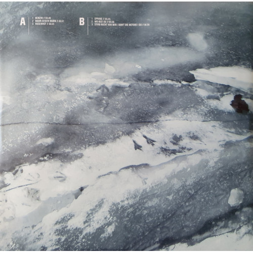 RAMMSTEIN - ROSENROT 2 LP Set 2005/2017 (2729675, 180 gm.) GAT, UNIVERSAL/EU MINT RAMMSTEIN - ROSENROT 2 LP Set 2005/2017 (2729675, 180 gm.) GAT, UNIVERSAL/EU MINT