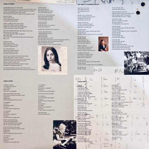 LADY GAGA - JOANNE 2 LP Set 2016 (0602557205152, Deluxe Edition) STREAMLINE RECORDS/EU MINT LADY GAGA - JOANNE 2 LP Set 2016 (0602557205152, Deluxe Edition) STREAMLINE RECORDS/EU MINT