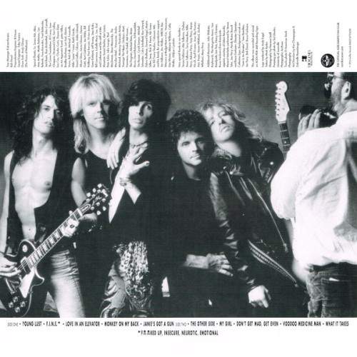 AEROSMITH – PUMP 1989/2016 (B0025183-01, 180 gm.) GEFFEN RECORDS/EU MINT AEROSMITH – PUMP 1989/2016 (B0025183-01, 180 gm.) GEFFEN RECORDS/EU MINT
