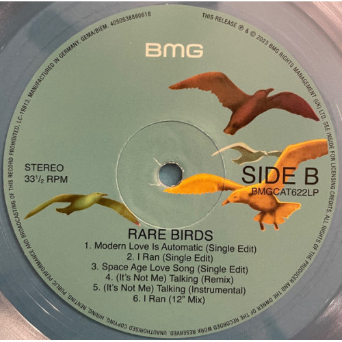 A FLOCK OF SEAGULLS - RARE BIRDS 2023 (BMGCAT622LP, LTD, Record Store Day) BMG/GER. MINT A FLOCK OF SEAGULLS - RARE BIRDS 2023 (BMGCAT622LP, LTD, Record Store Day) BMG/GER. MINT