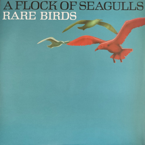 A FLOCK OF SEAGULLS - RARE BIRDS 2023 (BMGCAT622LP, LTD, Record Store Day) BMG/GER. MINT A FLOCK OF SEAGULLS - RARE BIRDS 2023 (BMGCAT622LP, LTD, Record Store Day) BMG/GER. MINT