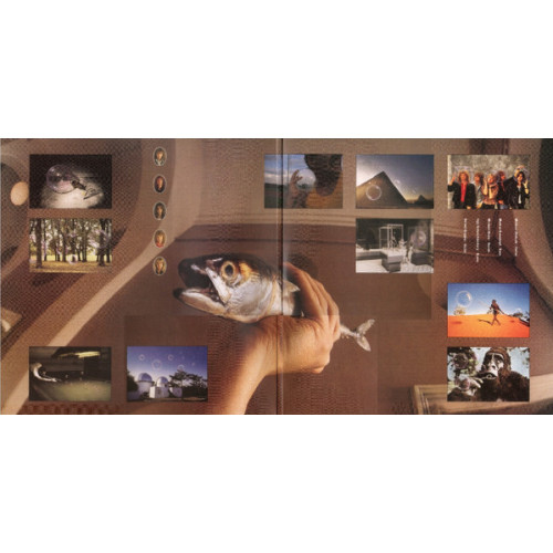 HELLOWEEN - PINK BUBBLES GO APE 1991/2021 (BMGCATLP62C, LTD., Pink With Black) BMG/EU MINT HELLOWEEN - PINK BUBBLES GO APE 1991/2021 (BMGCATLP62C, LTD., Pink With Black) BMG/EU MINT