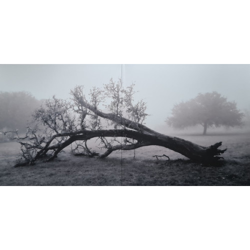 GARY CLARK JR. - JPEG RAW 2 LP Set 2024 (093624873105) WARNER RECORDS/EU MINT GARY CLARK JR. - JPEG RAW 2 LP Set 2024 (093624873105) WARNER RECORDS/EU MINT