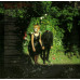 EURYTHMICS - IN THE GARDEN 1981/2018 (0190758116013) RCA/SONY/EU MINT