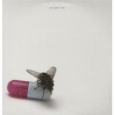 RED HOT CHILI PEPPERS – I’M WITH YOU 2 LP Set 2011 (9362-49564-6, 180 gm.) GAT, WB./EU MINT