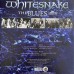 WHITESNAKE – THE BLUES ALBUM 2 LP Set (RCV1 645676, Blue) RHINO/EU MINT
