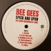 BEE GEES - SPICK AND SPAN 2021 (PARA371LP) PARACHUTE/EU MINT