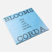 BLOOMS CORDA - ДОЩ ІДЕ АЛЕ СОНЦЕ СВІТИТЬ 2025 (4820277330480, Black Vinyl LTD) UKR. MINT