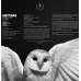 DEFTONES - DIAMOND EYES 2010/2020 (0093624967330) REPRISE/WARNER/EU MINT