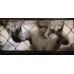 GREEN DAY - AMERICAN IDIOT 2004/2024 2 LP SET (LTD, RED-WHITE-BLACK, 0093624922810) WARNER/EU MINT