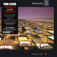 PINK FLOYD - A MOMENTARY LAPSE OF REASON 1987/2025 (0888751843011) PINK FLOYD RECORDS/EU MINT